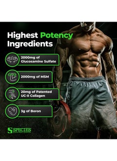 Species Nutrition Arthrolyze Joint Repair Supplement, Fortified with UC-II Collagen, MSM, Glucosamine, Chondroitin, High Potency Connective Tissue & Joint Support (300 Capsules) - pzsku/Z382E666B6C5704D0050AZ/45/_/1735908099/3e53ae9b-a688-484a-bb34-2ed3712fb15b