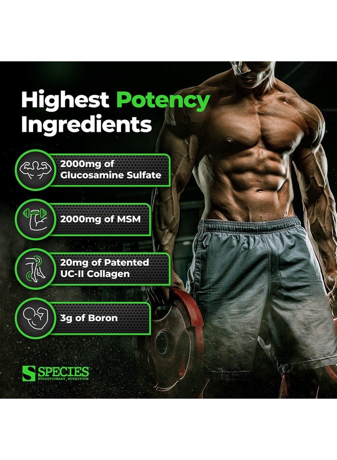 Species Nutrition Arthrolyze Joint Repair Supplement, Fortified with UC-II Collagen, MSM, Glucosamine, Chondroitin, High Potency Connective Tissue & Joint Support (300 Capsules)