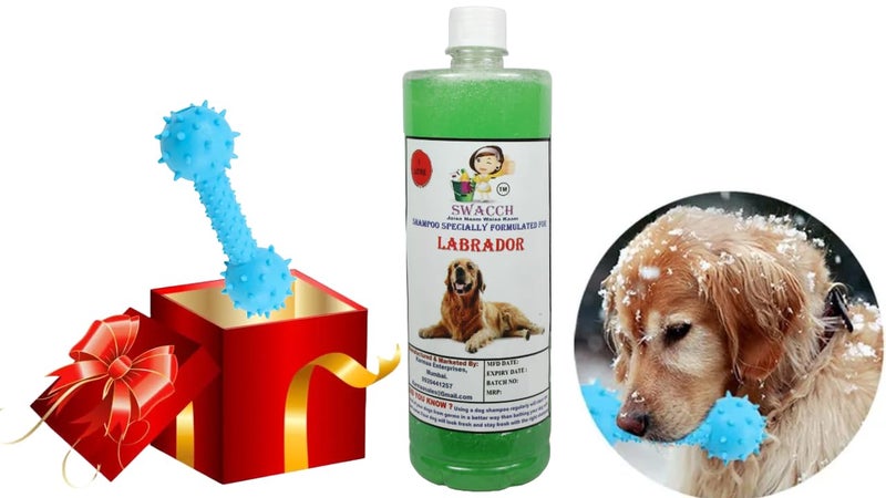 swacch Labrador Dog Shampoo + Dumbbell Toy I Durable Rubber Dog Toy for Chewing I Playing,Teeth Cleaning & Training Toy I Combo Pack I 1 Litre Neem Alovera - Image 1