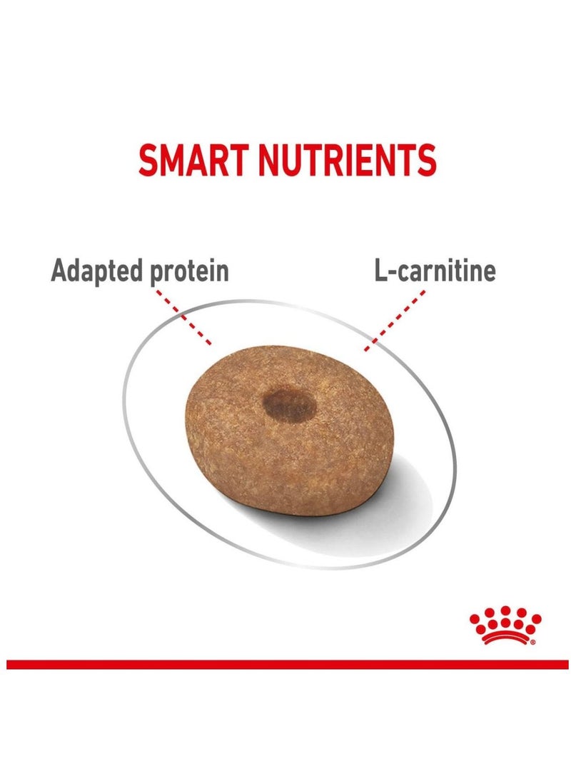 ROYAL CANIN Mini Light Weight Care Dog Dry Food 3kg - Image 2