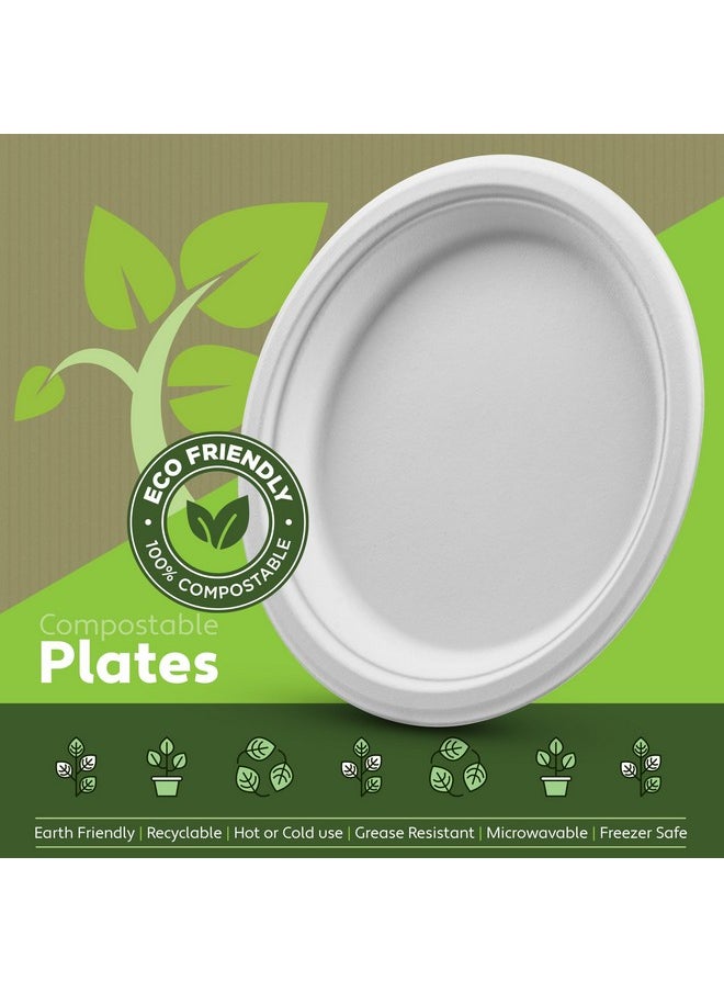 Munfix 100% Compostable Paper Plates 150 Pack, 10 Inch Heavy Duty Biodegradable Microwavable Disposable White Dinner Plates, Made of Eco-Friendly, Natural Sugarcane Bagasse  - Image 2