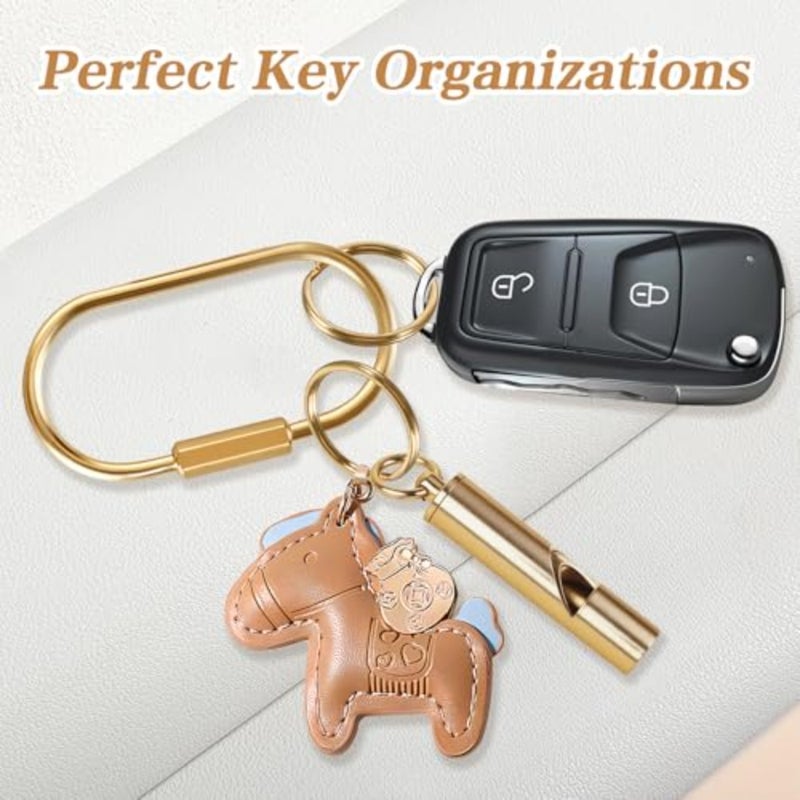 10 Pack Brass Key Rings Bulk, Gold Key Chain Organizer Holder for Men Women with Secure Screw Locking, Cute Purse Bag Charms for Handbags, Small Carabiner Clip for Dog Leash Pet Tags - Image 5