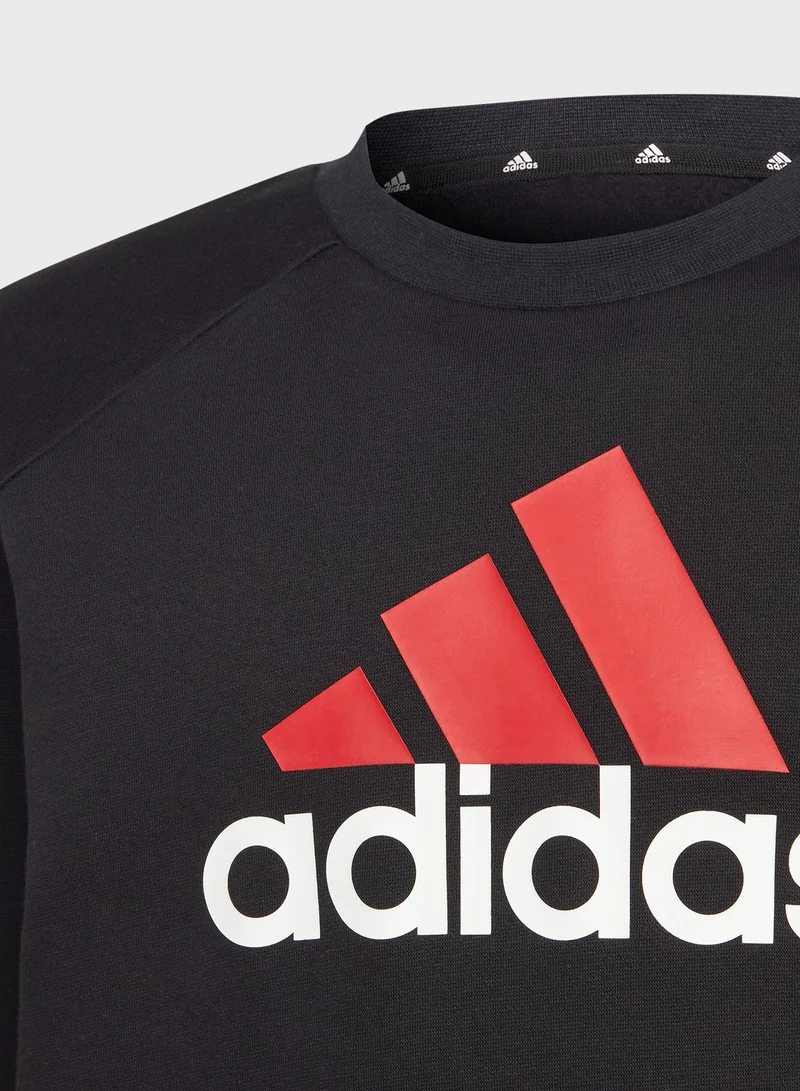 Adidas Essentials Big Logo Fleece Jogger Set Kids