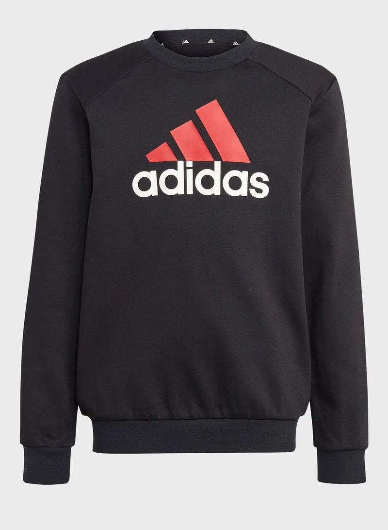 Adidas Essentials Big Logo Fleece Jogger Set Kids