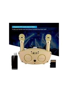 SDRD Portable Speaker Player Radio With Bluetooth Family KTV Speaker With 2 Wireless Microphones 30w Gold  - Image 5