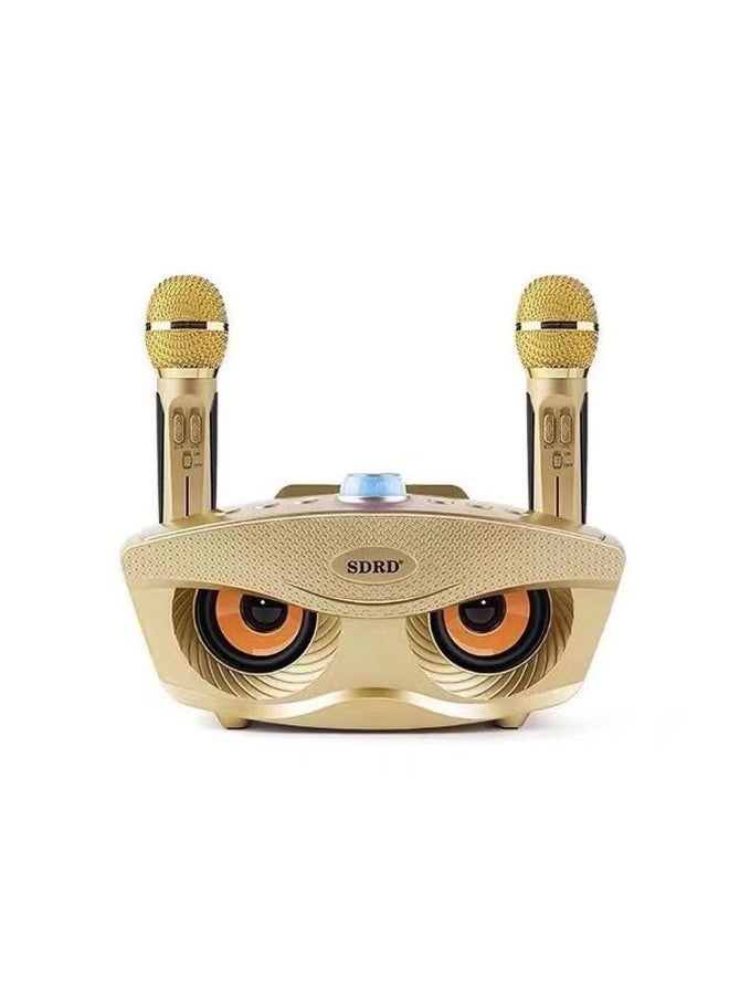 SDRD - Portable Speaker Player Radio With Bluetooth Family KTV Speaker With 2 Wireless Microphones 30w Gold - Image 1