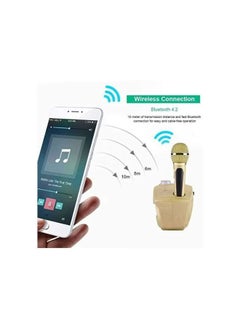 SDRD Portable Speaker Player Radio With Bluetooth Family KTV Speaker With 2 Wireless Microphones 30w Gold  - Image 4