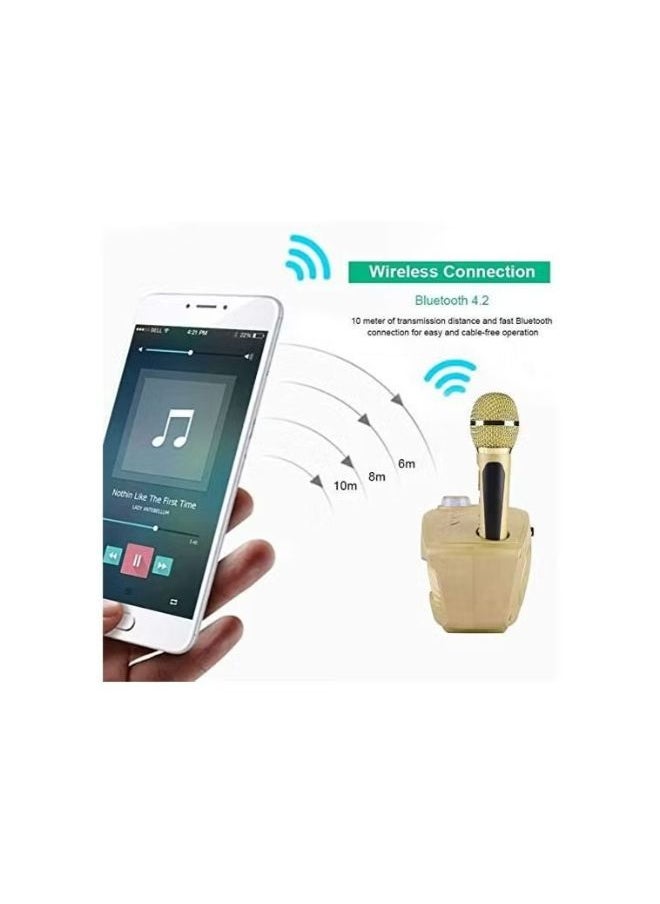SDRD - Portable Speaker Player Radio With Bluetooth Family KTV Speaker With 2 Wireless Microphones 30w Gold - Image 1