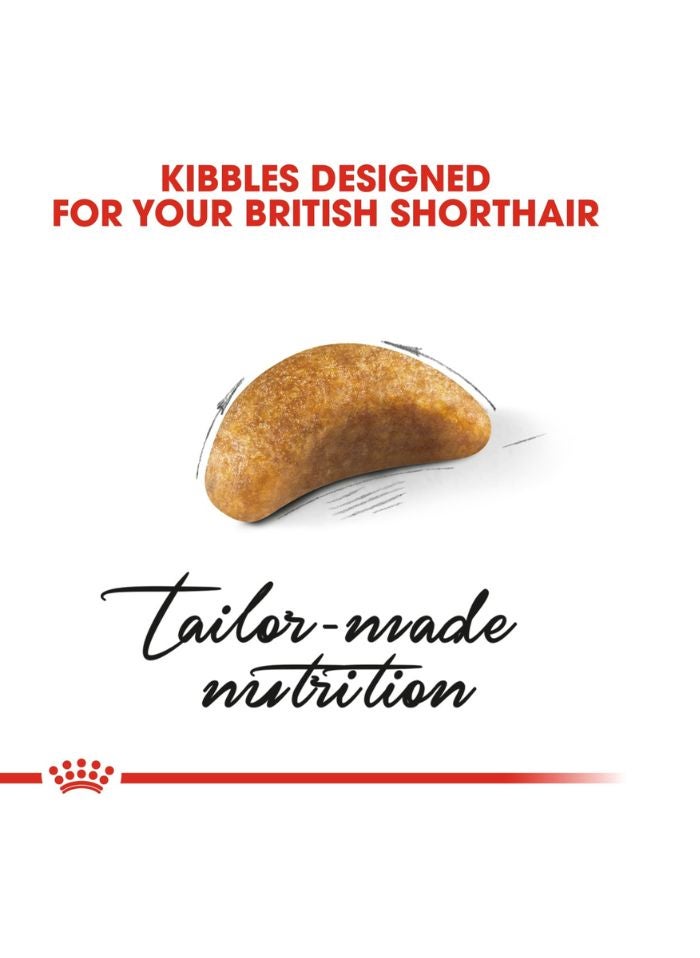 ROYAL CANIN Feline Breed Nutrition British Shorthair Kitten 2 KG - Image 4