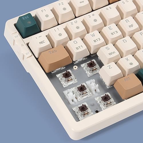 Merdia Wireless Mechanical Keyboard, Triple Mode 2.4G/USB-C/BT Gaming Keyboards 100 Keys RGB Backlit, Brown Switch Rechargeable | Brown Combo - Image 5
