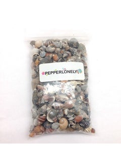 PEPPERLONELY Indian Ocean Small Mix Sea Shells, Small Shells Mixed, 8 Oz Apprx. 300+ Pc Shells, 1/4 Inch ~ 1 Inch  - Image 3
