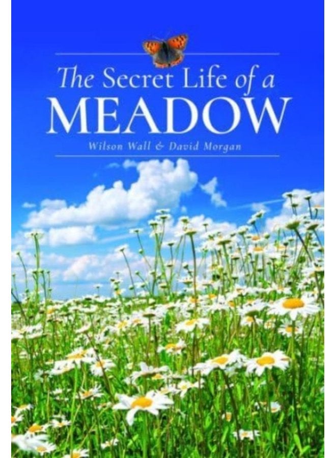 The Secret Life of a Meadow - Hardback