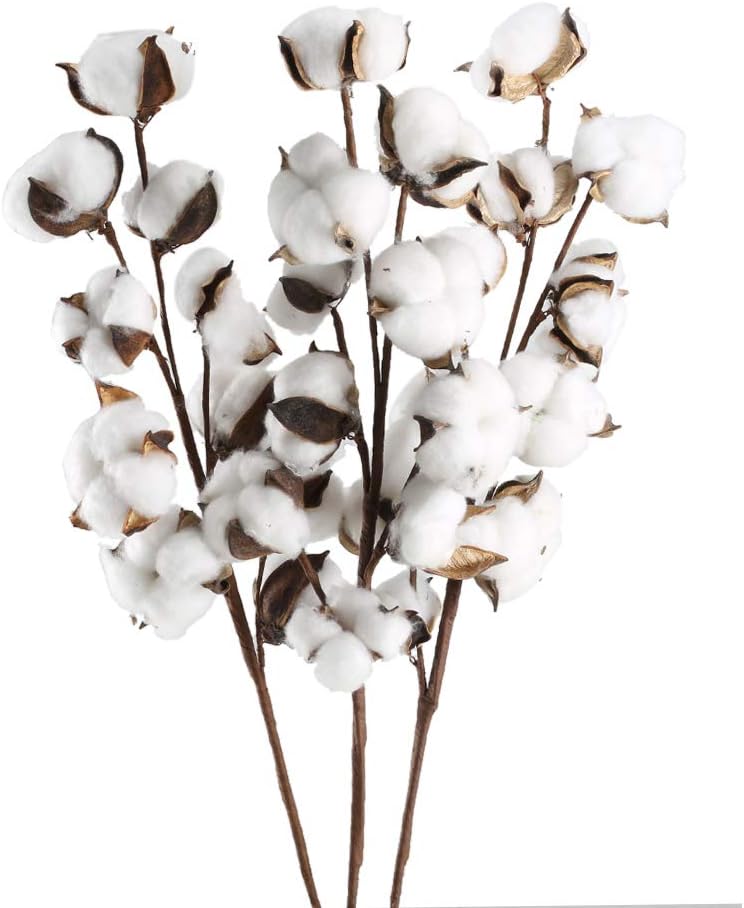 GTIDEA 3 Pack Cotton Stems 30 Balls Cotton Flowers Plant Natural Dried Floral Arrangement for Farmhouse Home Table Vase Filler Party DIY Wreath Decor (22 Inch) - Image 1
