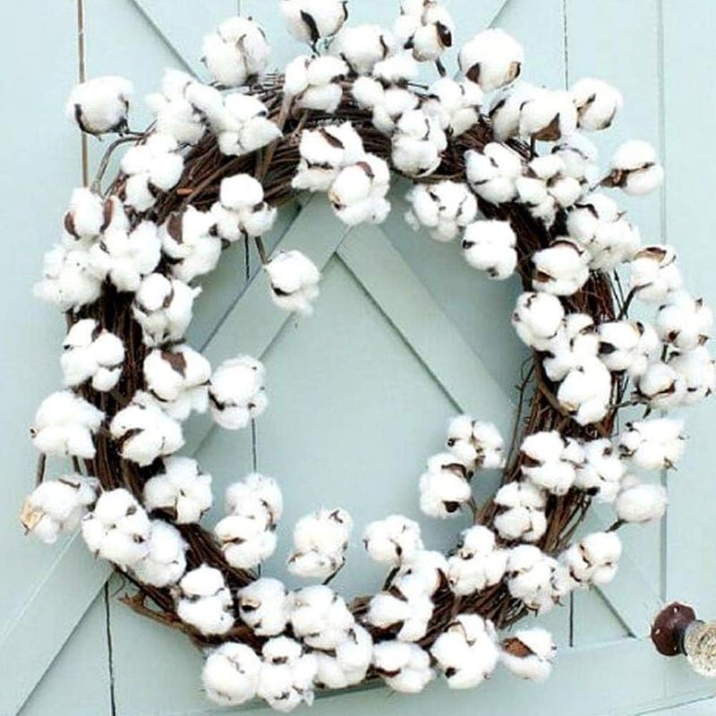 GTIDEA 3 Pack Cotton Stems 30 Balls Cotton Flowers Plant Natural Dried Floral Arrangement for Farmhouse Home Table Vase Filler Party DIY Wreath Decor (22 Inch) - Image 3