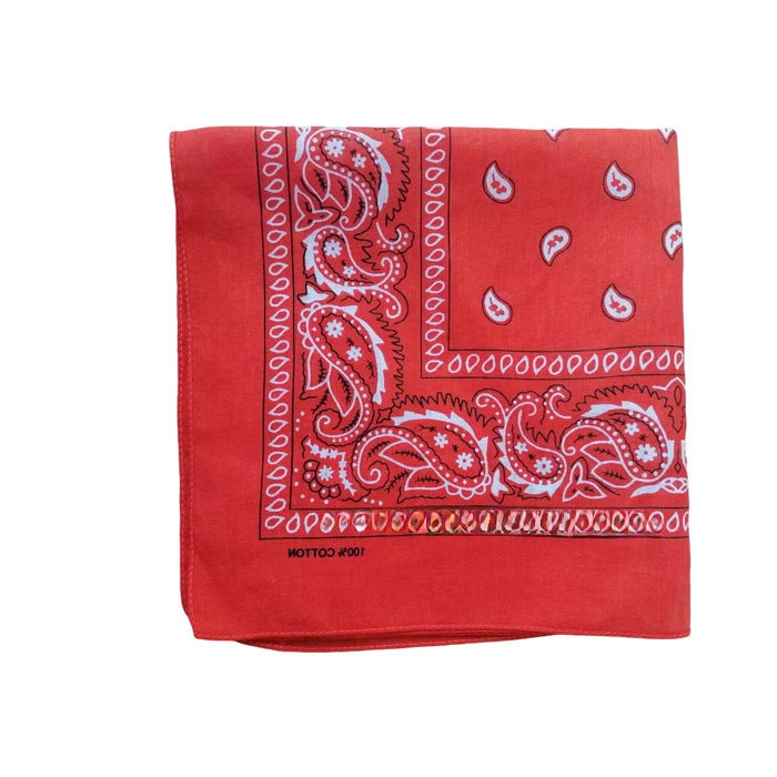 Cotton 74GSM Paisley Bandana HipHop Unisex Orange (Cotton 90GSM) 