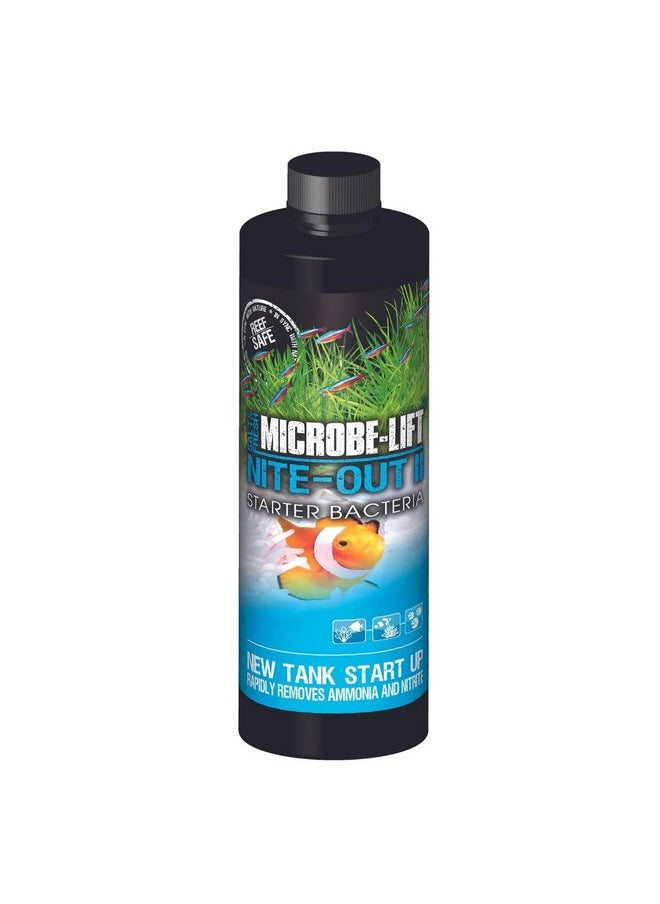 MicrobeLift NiteOut II (16 oz) - pzsku/Z3838FDBBA980FE712C26Z/45/_/1737031639/5983dd71-2e37-49f8-830b-d939227e255f