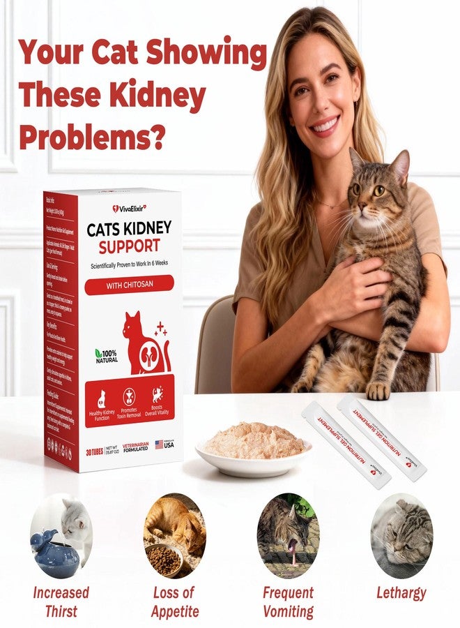 VivaElixir Cat Kidney Support Chitosan & L-Lysine – Boosts Kidney Health & Function, Promotes Toxin Removal, Restores Kidney Function, Enhances Vitality – Natural Ingredients for Cats – 30 Tubes - Image 4