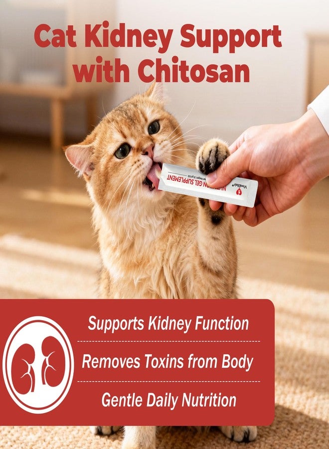 VivaElixir Cat Kidney Support Chitosan & L-Lysine – Boosts Kidney Health & Function, Promotes Toxin Removal, Restores Kidney Function, Enhances Vitality – Natural Ingredients for Cats – 30 Tubes - Image 2