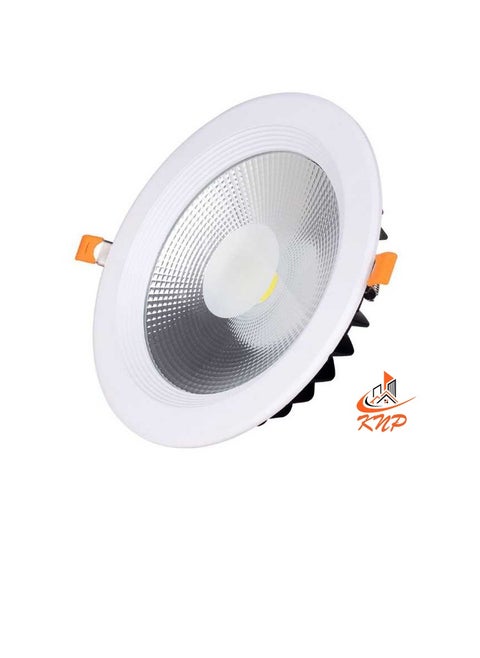 KNP LED Down Light 30W