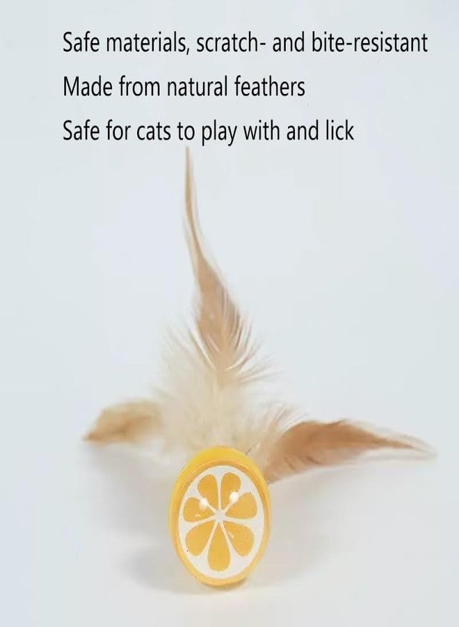 ZLMC Fruit-Shaped 4-Pack Cat Ball Toy with Natural Feathers, Feather Cat Toy for Indoor Cats and Playful Kittens, Fun Exercise & Play - Image 5