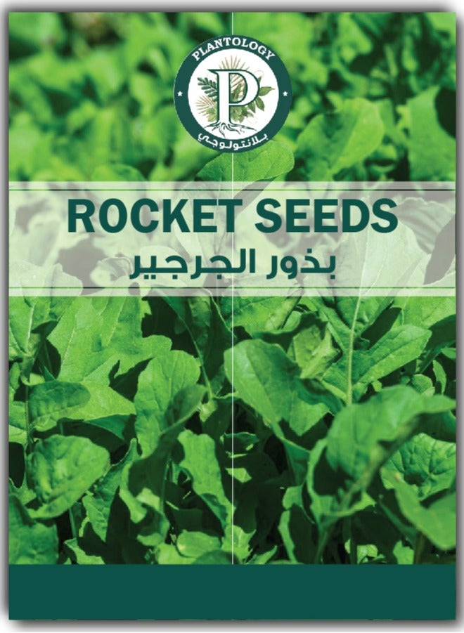 Rocket Seeds for Planting - High Quality Natural Seeds for Planting - Rocket (Rucola Coltivata) Seeds for Gardening, Lawn - Image 1