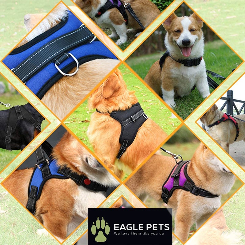 Eagle Pets No Pull Dog Harness, Breathable Adjustable Comfort, Free Leash Included, for Small Medium Large Dog, Best for Training Walking. (Red, Large) - Image 3