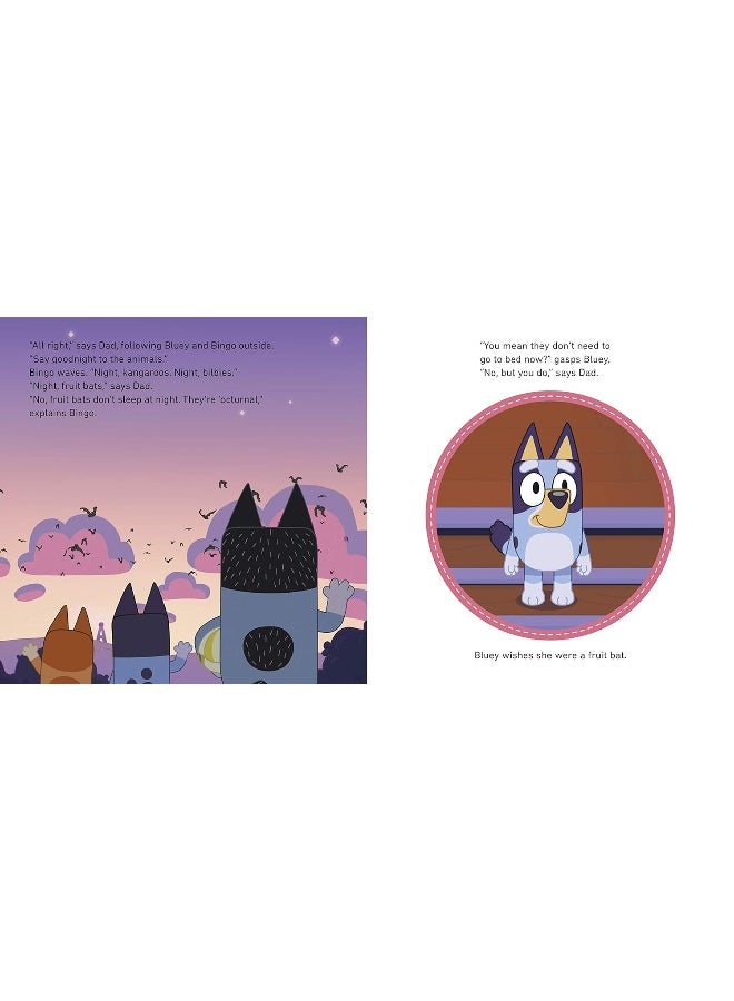 Ladybird Bluey: Goodnight Fruit Bat - Image 3