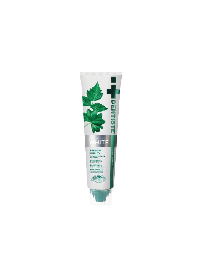 Dentiste Premium Natural White Toothpaste 100g | Advanced Herbal Oral Care for Whitening, Fresh Breath & Gum Protection