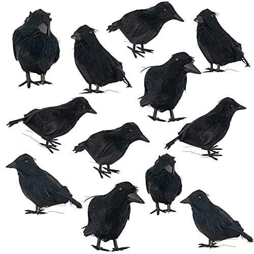 FUNPENY Halloween Black Feathered Crows Lifelik Halloween Decoration Birds with Real Feather 6 Pack