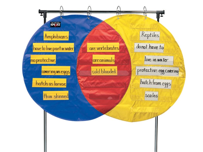 School Smart Venn Diagram Pocket Chart with 3 Circles, 23 Pockets, 35-1/2 x 54 Inches - Image 1