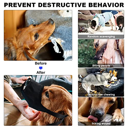 GPUSFAK Dog First Aid Kit - Pet First Aid Kit for Dogs Pet Emergency Kit with Grooming Hammock Harness Nail Clipper First Aid Supplies for Home Camping - Image 5