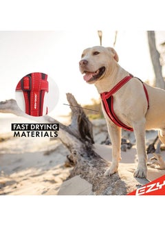 Premium Chest Plate Custom Fit NoPull Padded Comfort Dog Harness  Perfect For Training, Walking, And Control  Includes Car Restraint Attachment (Small, Denim) - pzsku/Z38456B3D5CF5381A328EZ/45/_/1726220384/75d9c527-9b7e-49ff-ac49-8984a3d8d03f