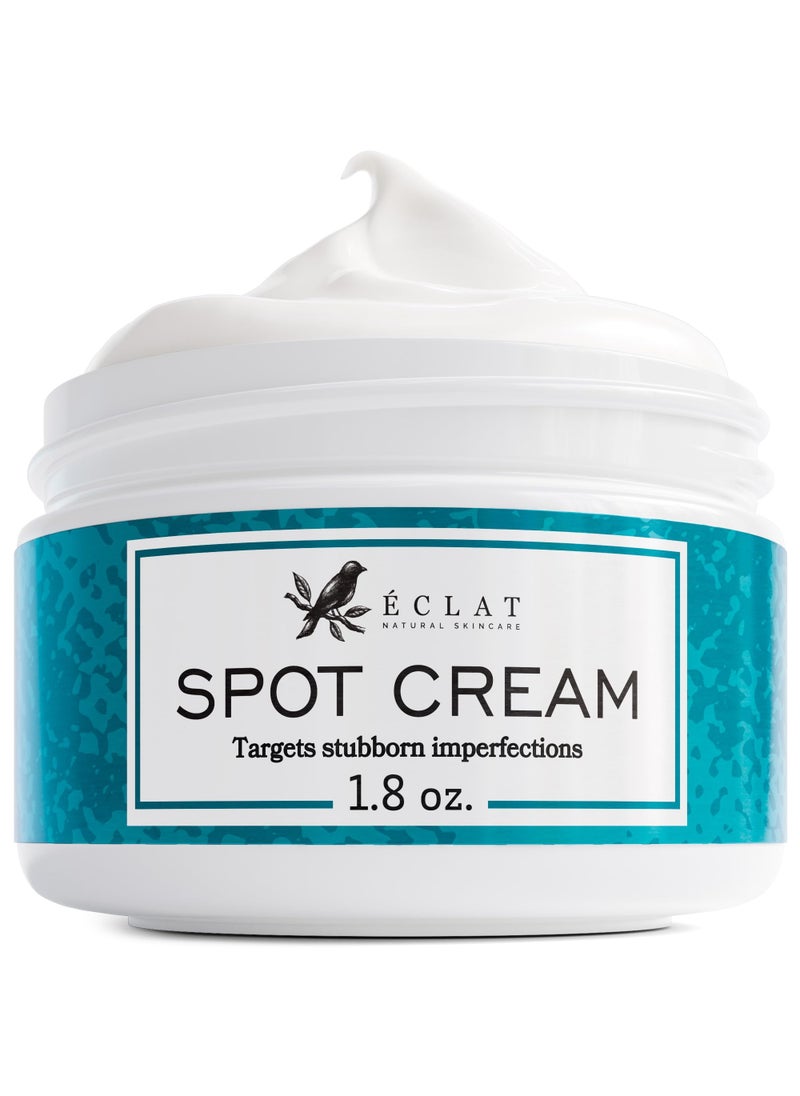 Eclat Skincare - Eclat Skincare Spot Treatment for Face  Salicylic Acid Pimple Spot Treatment for Face  Spot Cream Pimple Cream Facial Blemish Spot Treatment  Cystic Hormonal Spot Treatment Face Moisturizer - Image 1