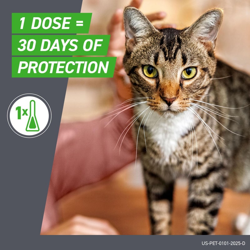 FRONTLINE Plus Flea and Tick Treatment for Cats Over 1.5 lbs. 3 Treatments - Image 5