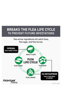 Frontline FRONTLINE Plus Flea and Tick Treatment for Cats Over 1.5 lbs., 3 Treatments  - Image 3