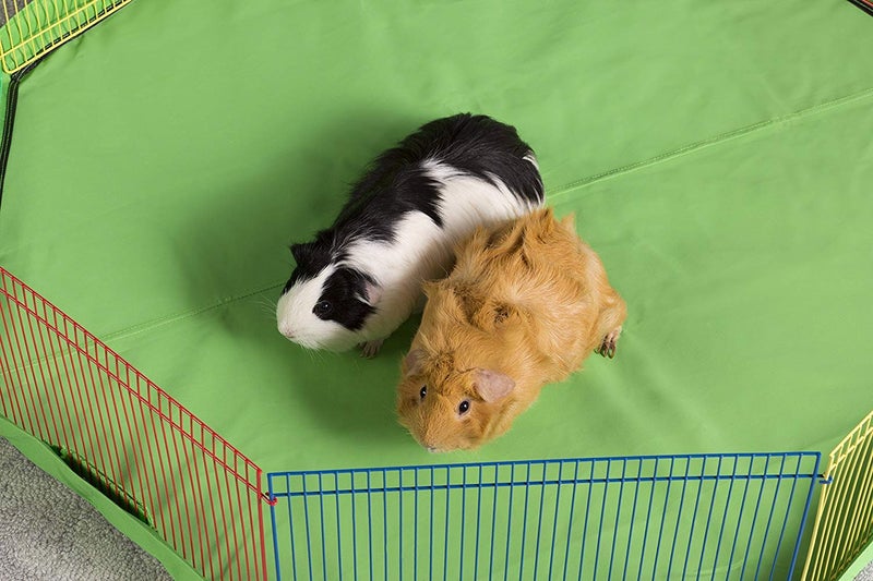 PH Prevue Hendryx Prevue Pet Products Multi-Color Small Pet Playpen 40090,13x35.87x8.67 inch - Image 5