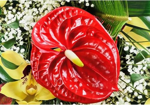 Corkwaw 8 Pcs 23-5/8 inch Artificial Anthurium Flowers Real Touch Fake Flower for Table Centerpieces Arrangement and Bridal Wedding Festival Decor Flower Arrangement (Red) - Image 4