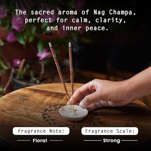 NYASSA Highly Scented Nag Champa Agarbatti/Incense Sticks - 50g, Nag Champa Fragrance, Charcoal-Free Agarbatti for Pooja, Meditation, Home Freshness & Positive, Energy, Perfect for Special Occasions - Image 4