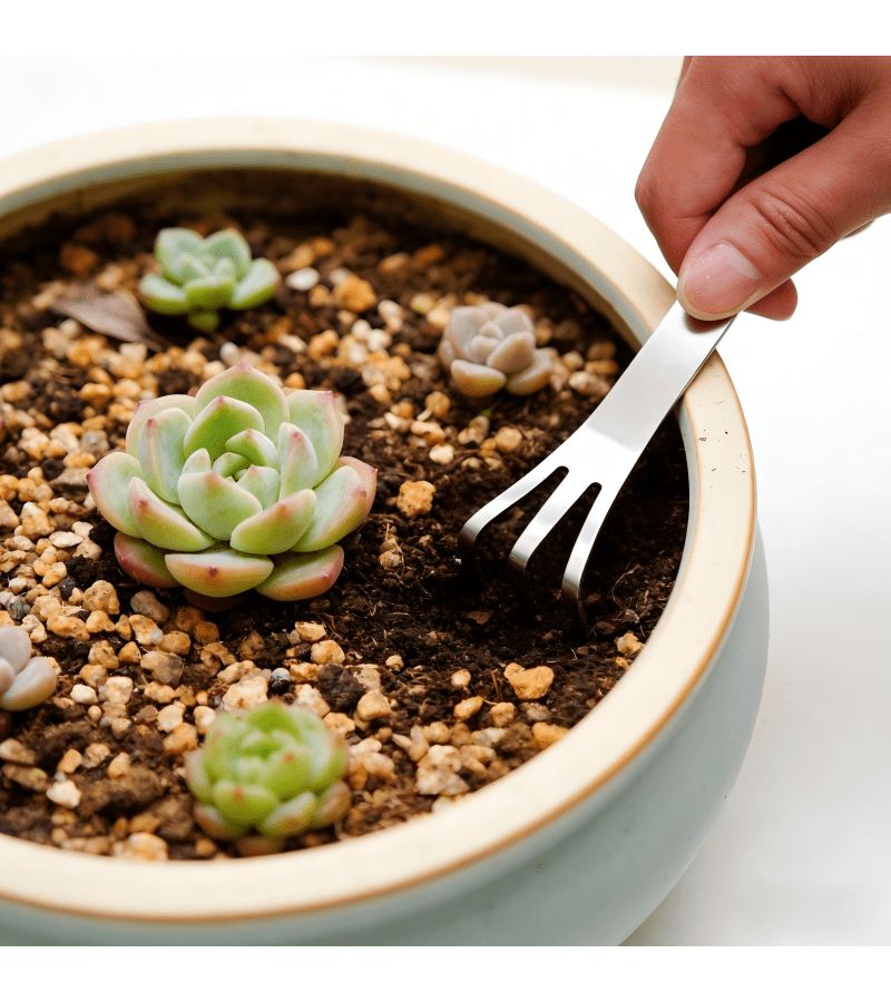 Household Gardening Three Piece Combination Set With Shovel Practical And Lightweight Design For Succulent Planting Soil Turning And Weeding - Image 5