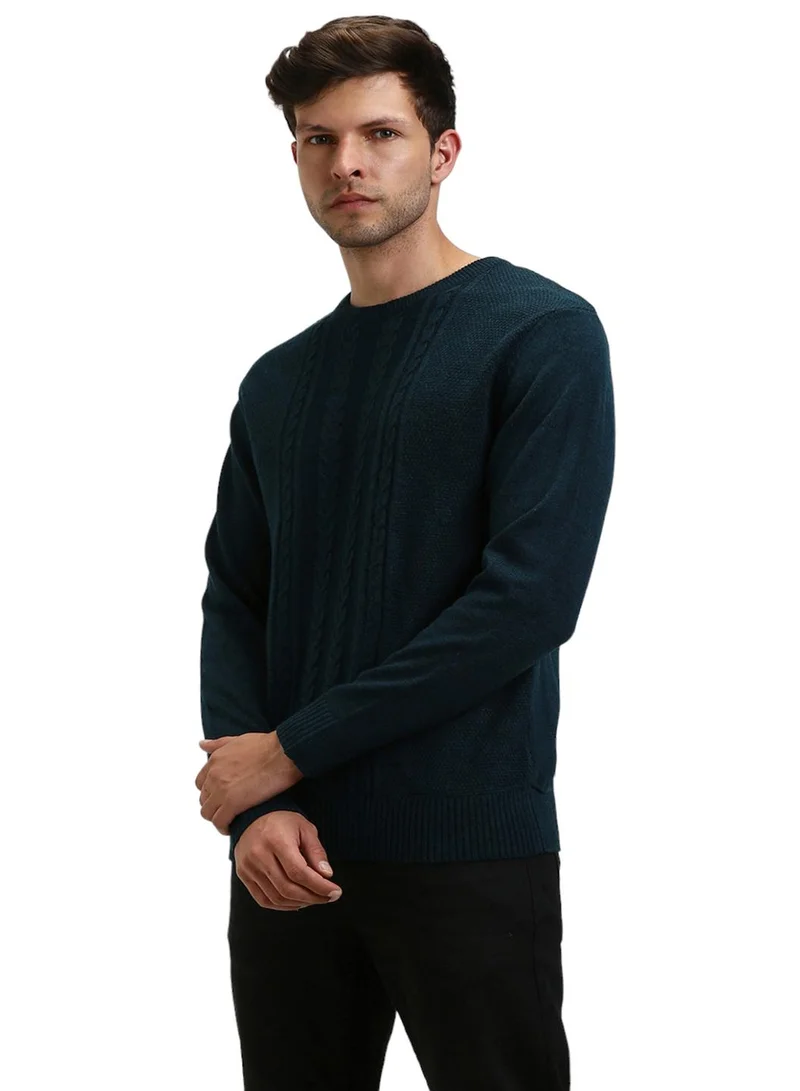 Dennis Lingo Men's Sage Green 100% Acrylic Self Design Regular Fit Sweater