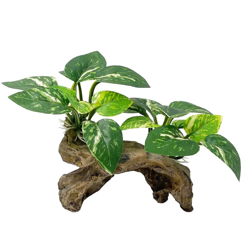 Smoothedo-Pets Fish Tank Decorations Aquarium Decor Ornaments Betta Silk Leaf pad Hammock Artifical Driftwood cave Goldfish Bowl Accessories (Type-C) - Image 1