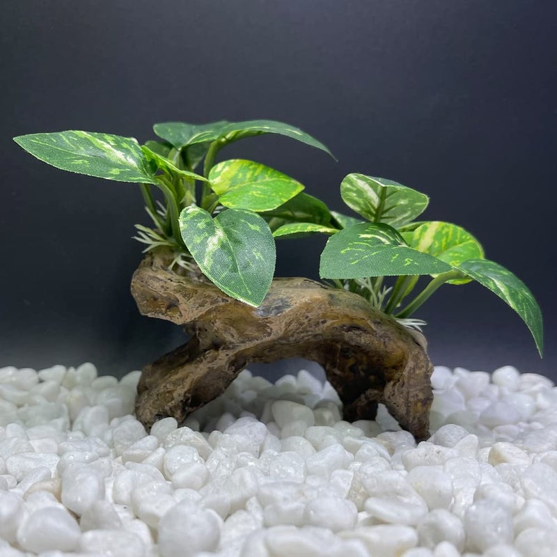 Smoothedo-Pets Fish Tank Decorations Aquarium Decor Ornaments Betta Silk Leaf pad Hammock Artifical Driftwood cave Goldfish Bowl Accessories (Type-C) - Image 5