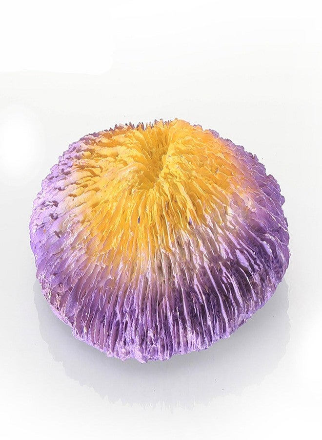 Petta Resin Coral Plant Decorations Artificial Ornament Decor Montipora Coral Reef Decoration for Fish Tank Aquarium Landscape, Yellow Purple, 1 Pcs GH0375 - Image 2