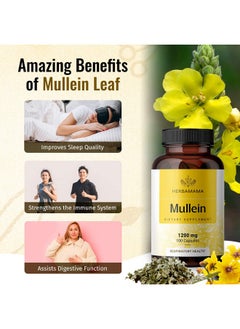 HERBAMAMA Mullein Leaf Capsules Lung Cleanse Respiratory Health Organic Mullein Leaf Extract For Lung Detox 1200Mg 100 Vegan Caps  - Image 5