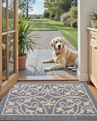 DEXI Front Door Mat Entryway, Inside Welcome Entrance Doormat Low Profile Thin, Non Slip Washable Entry Mats for House Floor Dirt Trapper, 24x36, Gray - Image 3