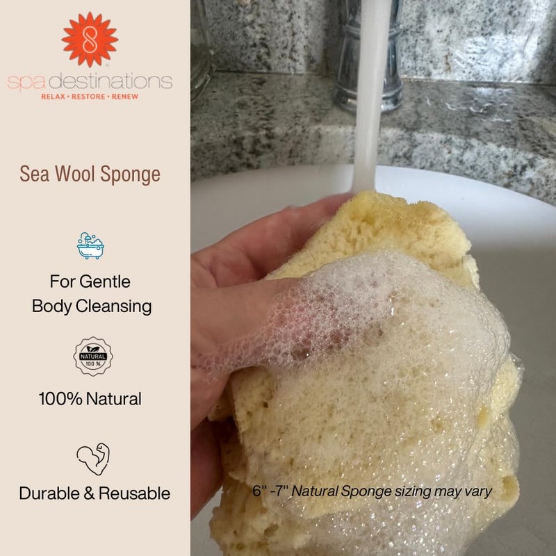 spa destinations Natural Sea Wool Sponge 4-5" by Spa Destinations Â® Amazing Natural Renewable Resource Creating The in Perfect Bath and Shower Experience - Image 3
