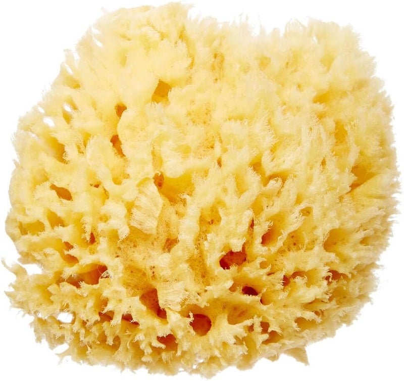 HartFelt Delicate Skin Wool Sea Sponge 4 in | Real Natural Sponges for Body and Face Gentle Care | Luxurious Lather