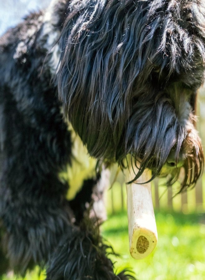 Cadet Stuffed Shin Bone - Highly Digestible, High Protein, Long-Lasting Dog Chew Bone for Aggressive Chewers, Supports Dental Health, Cheese Flavor, Large (1 Count) - Image 2