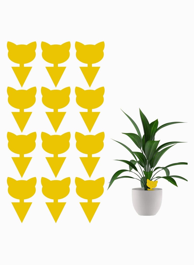 SOLARAE Sticky Trap, Fruit Fly and Fungus Gnat Trap Killer Indoor and Outdoor, such as Whiteflies, Aphids, Leafminers, Protect the Plant, Non-Toxic and Odorless 12 Pack - Image 1