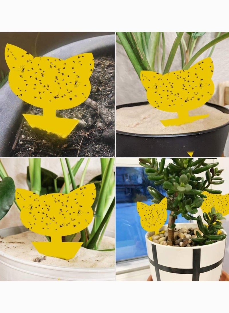 SOLARAE Sticky Trap, Fruit Fly and Fungus Gnat Trap Killer Indoor and Outdoor, such as Whiteflies, Aphids, Leafminers, Protect the Plant, Non-Toxic and Odorless 12 Pack - Image 4
